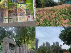 -龙凤山庄影视度假村