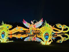 -武汉园博园(武汉自然博物馆)