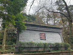 -青城山