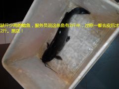 缺斤少两的鲶鱼，少了半斤！-黄记煌三汁焖锅(顺义华联店)