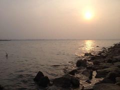 -漕湖湿地公园