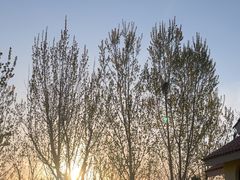 -西部长青自然儿童乐园