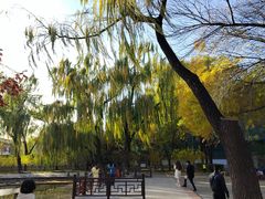 -玲珑塔公园