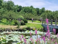 -上海海湾国家森林公园