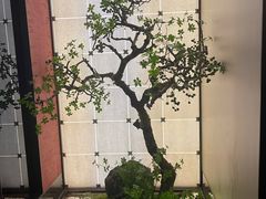 -湘上湘(正大中心总店)