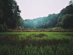 -韶山毛泽东同志故居