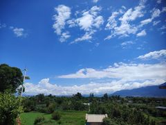 -翠田Green Field Kitchen