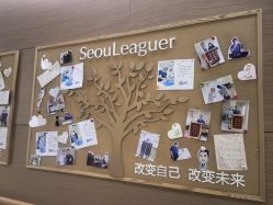 -上海首尔丽格医疗美容医院