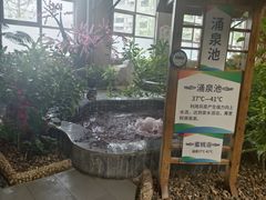 -兴芮温泉度假区