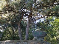 -北京鹫峰国家森林公园