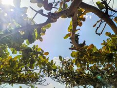 -三亚亚龙湾美高梅度假酒店FUN动冲浪