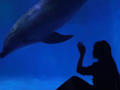 -多彩贵州城极地海洋世界