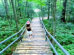 -五营红松林海景区