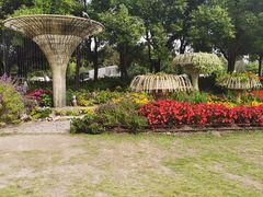 -上海滨江森林公园