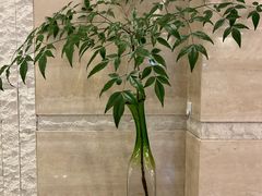 -浙江西子宾馆·瑶园咖啡厅