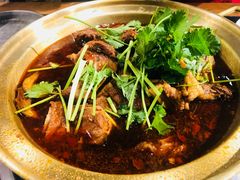 -友乐居羊蝎子(西直门店)