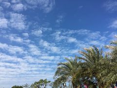 -飞来湖湿地公园