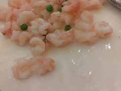 -宝燕壹号(徐汇店)