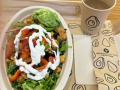 -油梨树 AVOCADO TREE(亮马桥店)