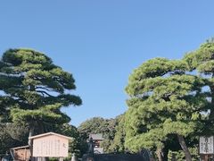 -鹤冈八幡宫