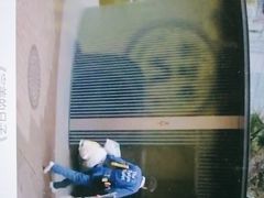 -学习谷日语培训日本留学·多语种外语教学(海淀人大分部)