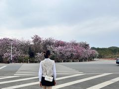 -扬美古镇景区