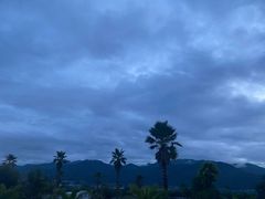 -野象谷景区