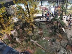 -湖南省地质博物馆