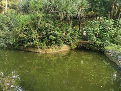 -海南热带野生动植物园