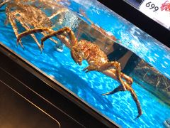 -盒马鲜生(大成店)