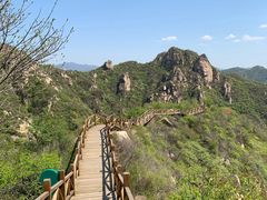 -大岭沟猕猴桃谷风景区