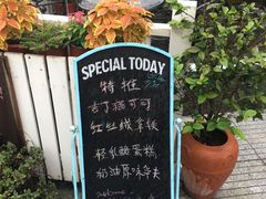 -吉丁鸟咖·异宠·寄养