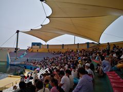 -秦皇岛乐岛海洋王国