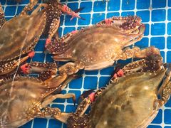 -隐厨·海鲜餐厅(恒通路店)