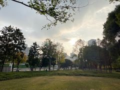 -后襄河公园