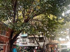 -荔園 LaiYuen