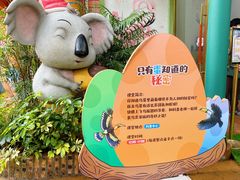 -广州长隆野生动物世界