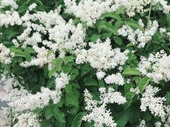 -仙海旅游度假区