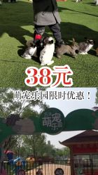 -萌宠亲子动物乐园(槐房万达店)