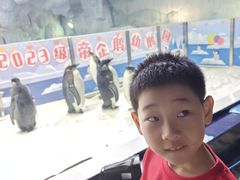 -帝企鹅自助餐厅•儿童岛•真企鹅(长隆企鹅酒店)