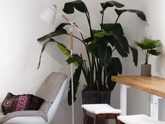 用餐区-COTTON CAFE(德信·中外公寓店)