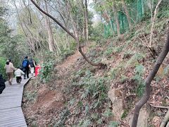 -上海佘山国家森林公园西佘山园