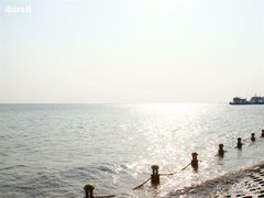 -瀛洲公园