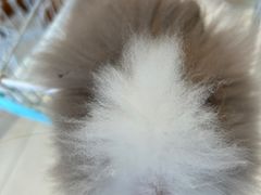 -怪兽屋·羊驼·猫咖·狗咖(俊华广场店)