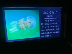 -鹿儿岛水族馆
