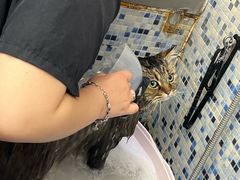 -FAELING PETS美天灵宠物(富力广场店)