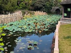 -水绘园