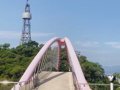 -金鸡山公园