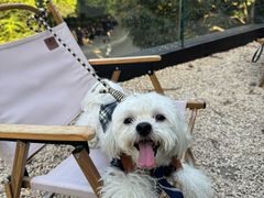 -J Create城市露营咖啡·简餐·宠物(上海动物园店)