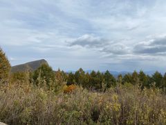 -白草畔自然风景区